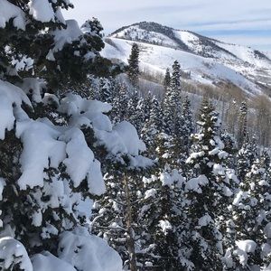 Meet your Posher, Janee